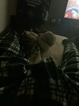 perrrotegrande online show from January 2026 10:09:02 AM