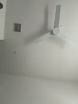 PointingPetrol online show from January 2026 05:18:01 PM