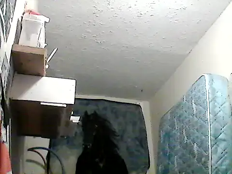 Snapshot of lilbishmiss chatting on January 2025 06:38:02 AM lilbishmiss online show from January 2025 06:38:02 AM