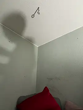 pillepallex84x online show from March 2026 12:28:01 AM