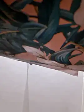 cutiecatty21 online show from January 2026 05:39:01 PM