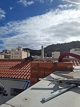 seloloko20 online show from January 2025 10:56:01 AM