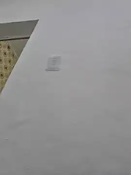 loiraodanadinha online show from December 2024 05:04:02 PM