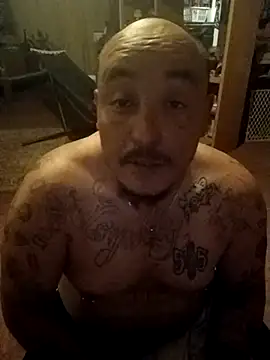 wilsons12 online show from March 2026 02:50:02 AM