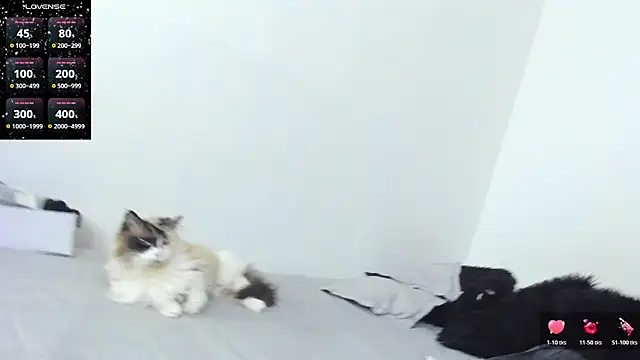 SophieBaker   online show from February 2026 02:10:02 AM