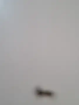 Snapshot of BriannaVincent chatting on October 2025 04:26:01 AM BriannaVincent online show from October 2025 04:26:01 AM