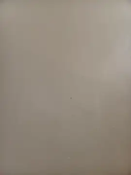 Snapshot of BriannaVincent chatting on November 2025 04:22:02 AM BriannaVincent online show from November 2025 04:22:02 AM