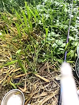 huzi518 online show from September 2025 03:33:02 AM