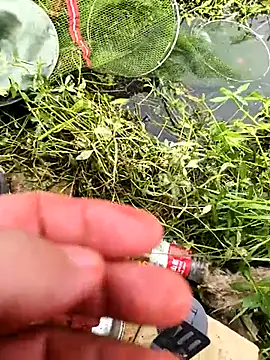 huzi518 online show from October 2025 03:36:02 AM