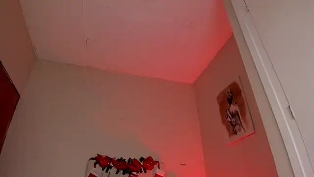 Snapshot of dani_skinny_ chatting on December 2024 06:31:01 PM dani skinny online show from December 2024 06:31:01 PM