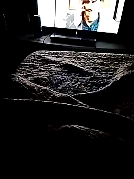 minitranca online show from February 2026 03:18:01 AM