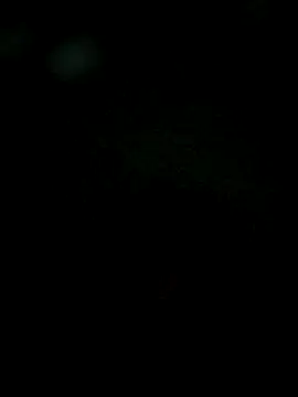 Snapshot of Karthik924 chatting on February 2025 06:19:01 PM Karthik924 online show from February 2025 06:19:01 PM