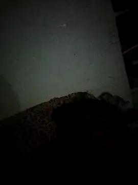 Snapshot of Karthik924 chatting on February 2025 05:09:02 PM Karthik924 online show from February 2025 05:09:02 PM