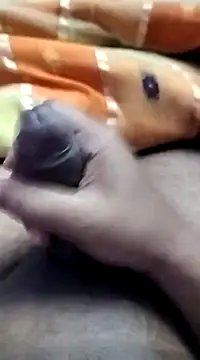 dick 01728 online show from January 2025 06:38:02 PM