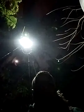 dick 01728 online show from February 2025 02:18:01 PM