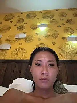 thai-dreamgirl online show from April 2026 12:08:02 AM