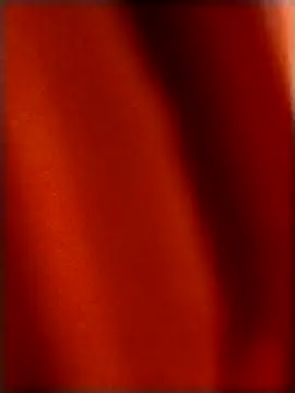 Snapshot of rohitlov150 chatting on December 2025 04:24:01 PM rohitlov150 online show from December 2025 04:24:01 PM