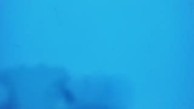  hairybeard  online show from February 2025 09:22:02 AM