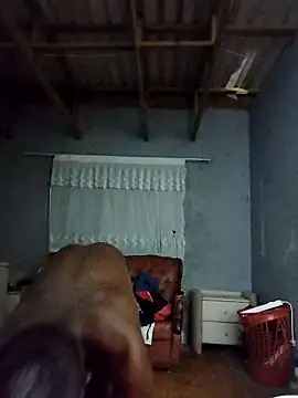 Chocolate factory man online show from September 2025 04:40:01 PM