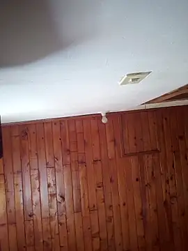      sams online show from November 2025 08:41:02 PM