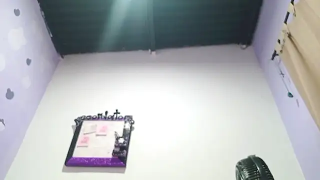 PetiteIvoryQueen19 online show from December 2024 06:59:02 AM