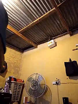 palaza11 online show from December 2025 09:25:01 AM