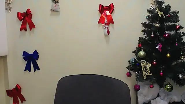 Snapshot of StellaCRL chatting on December 2024 07:11:02 AM StellaCRL online show from December 2024 07:11:02 AM