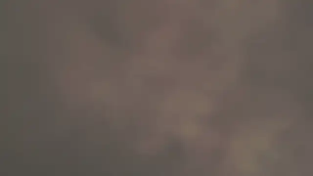Snapshot of StellaCRL chatting on March 2025 10:24:01 AM StellaCRL online show from March 2025 10:24:01 AM