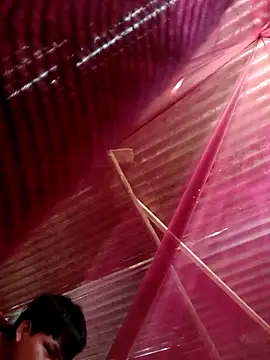 Huebolocko online show from October 2025 09:05:02 PM