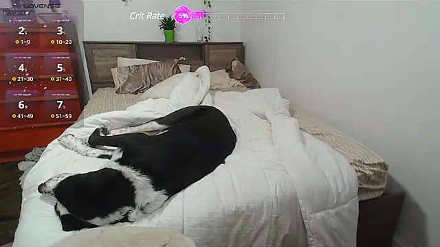 Kittyymaze1 online show from February 2025 01:28:02 PM