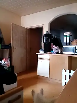 Wishes813 online show from February 2026 02:04:02 PM