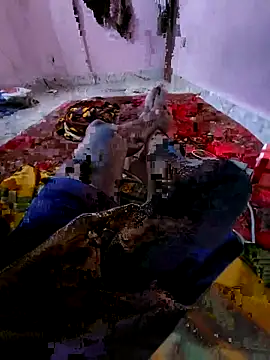 Ssdhaka11 online show from November 2025 02:51:01 PM