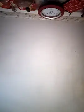 Dani pegin online show from October 2025 03:05:02 PM