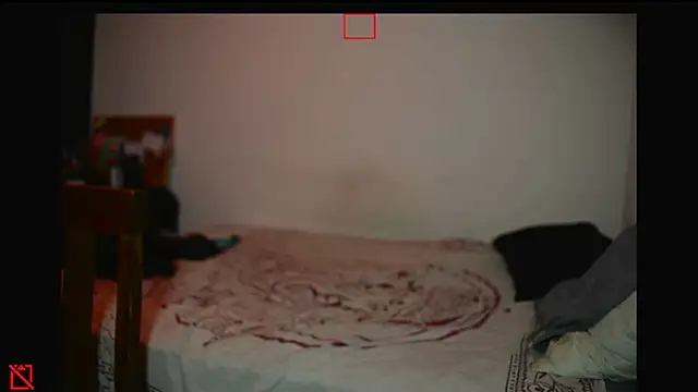 villanocat online show from February 2025 05:35:02 AM