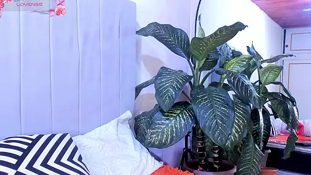 Mindy sweety online show from March 2025 07:54:01 PM