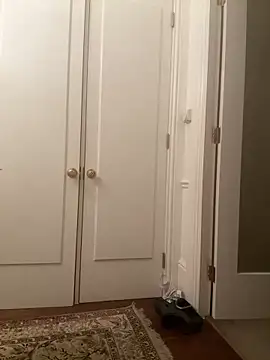 Snapshot of francaFerrariRoma chatting on December 2024 03:26:02 AM francaFerrariRoma online show from December 2024 03:26:02 AM