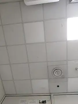 coppiapazza online show from February 2025 07:42:01 PM