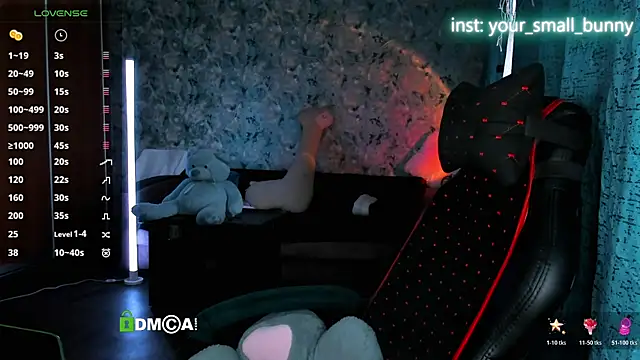 Your small bunny online show from May 2026 02:06:02 AM