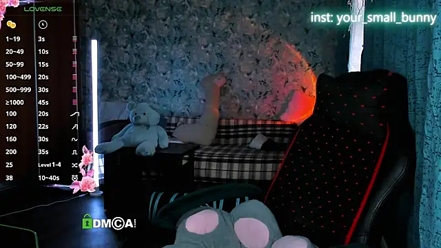 Your small bunny online show from May 2026 02:08:01 AM