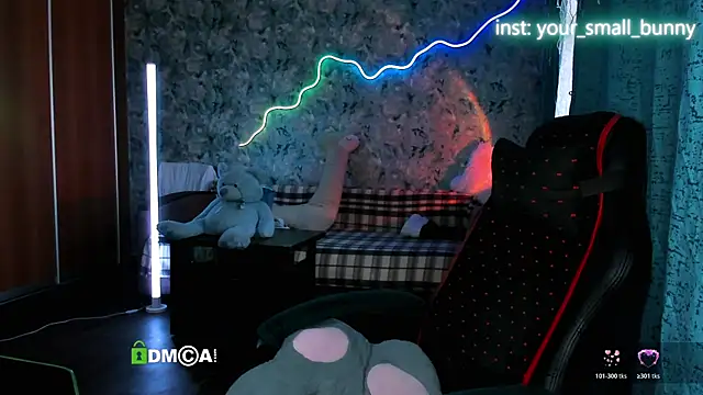 Your small bunny online show from May 2026 02:08:02 AM