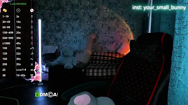 Your small bunny online show from June 2026 02:10:01 AM