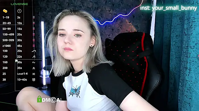 Your small bunny online show from June 2026 02:03:01 AM