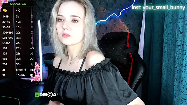 Your small bunny online show from July 2026 02:03:02 AM