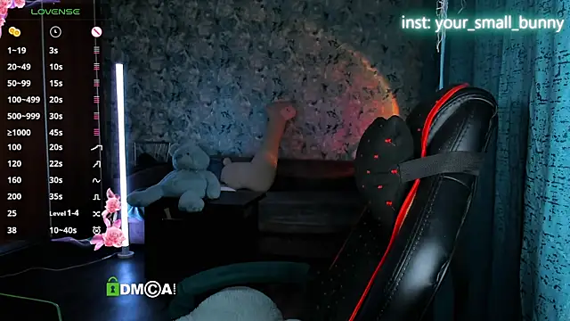 Your small bunny online show from July 2026 02:05:17 AM