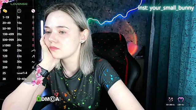 Your small bunny online show from July 2026 02:09:02 AM