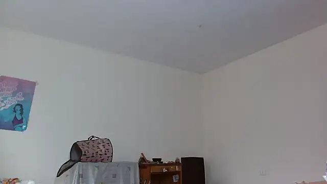 Snapshot of Party_trans chatting on March 2025 04:04:01 PM Party trans online show from March 2025 04:04:01 PM