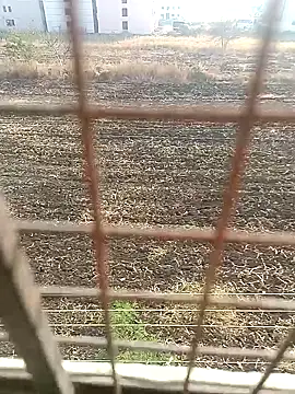 Snapshot of 1010SumiT chatting on January 2025 03:58:02 AM 1010SumiT online show from January 2025 03:58:02 AM