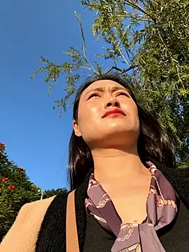 Lfeiji online show from November 2025 08:37:01 AM