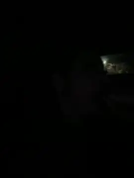 Luluof online show from November 2025 05:01:02 AM