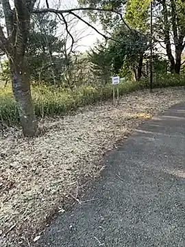 Hideen-real-face online show from February 2026 06:53:01 AM